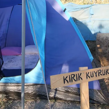 Teos Sanat Kampi Sigacik