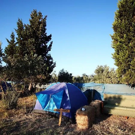 Teos Sanat Kampi Campingplatz *
