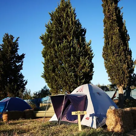 Teos Sanat Kampi * Siğacık