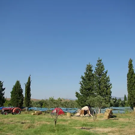 Teos Sanat Kampi Сигаджик